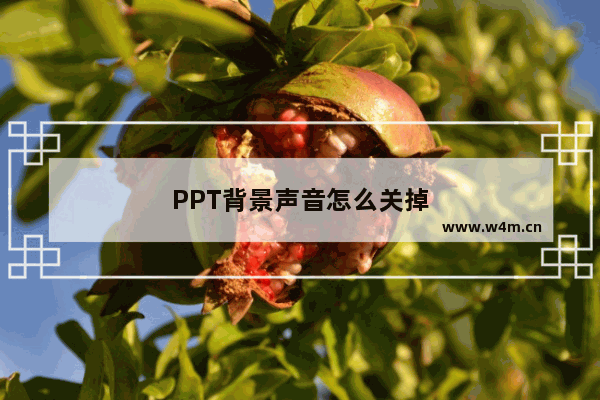 PPT背景声音怎么关掉