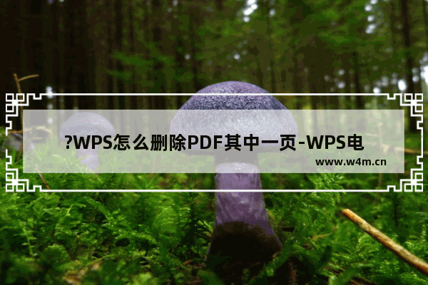 ?WPS怎么删除PDF其中一页-WPS电脑版中删除PDF页面的方法教程