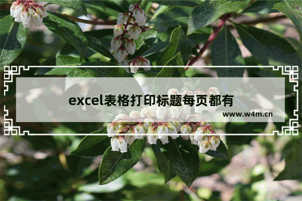 excel表格打印标题每页都有