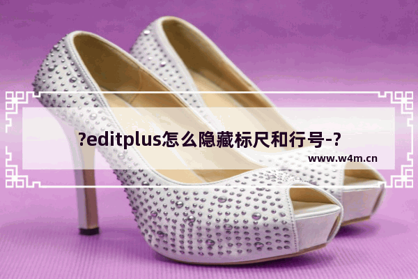 ?editplus怎么隐藏标尺和行号-?editplus隐藏标尺和行号的方法