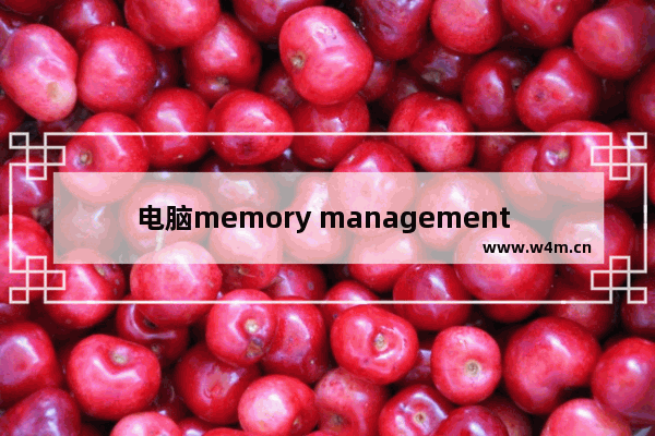 电脑memory management 蓝屏win10