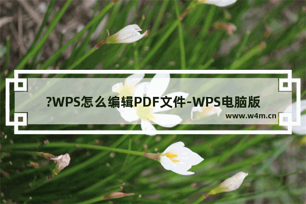 ?WPS怎么编辑PDF文件-WPS电脑版中编辑PDF中的文本内容的方法教程