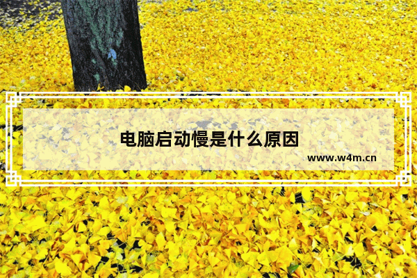 电脑启动慢是什么原因