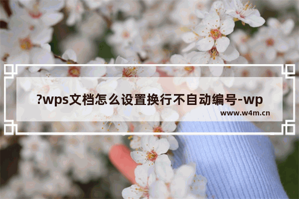 ?wps文档怎么设置换行不自动编号-wps文档设置换行不自动编号的方法