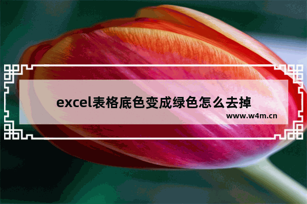 excel表格底色变成绿色怎么去掉