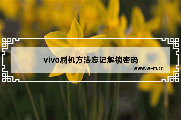 vivo刷机方法忘记解锁密码