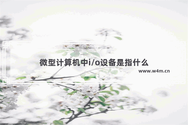 微型计算机中i/o设备是指什么