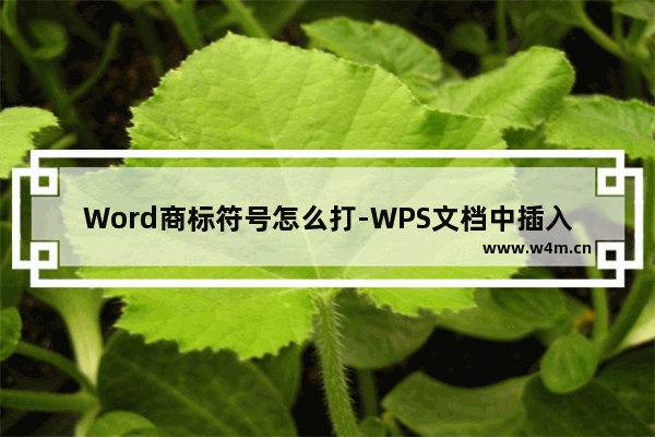 Word商标符号怎么打-WPS文档中插入tm商标符号的方法