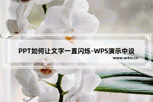 PPT如何让文字一直闪烁-WPS演示中设置文字一直闪烁的方法