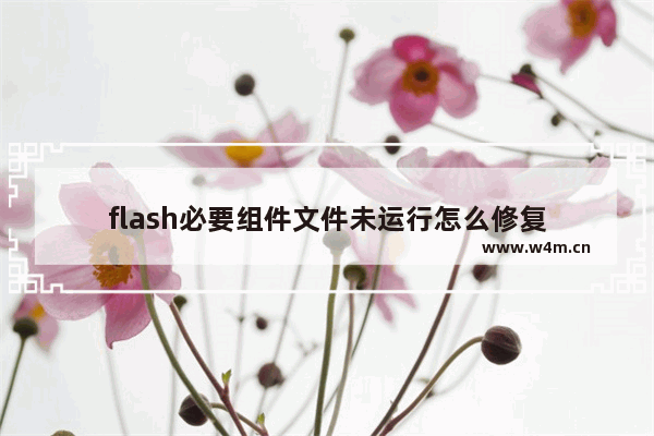 flash必要组件文件未运行怎么修复