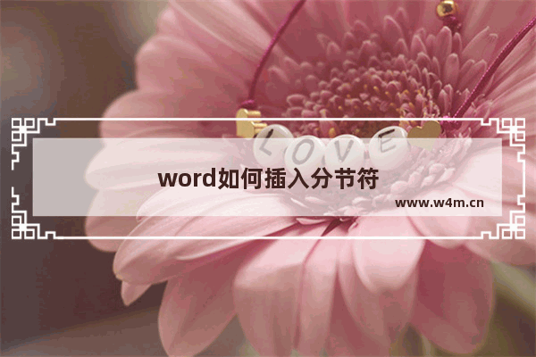 word如何插入分节符