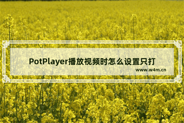 PotPlayer播放视频时怎么设置只打开一个窗口-PotPlayer播放视频时只打开一个窗口的方法