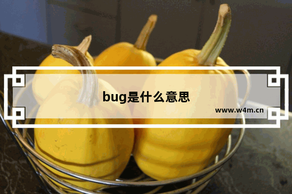 bug是什么意思