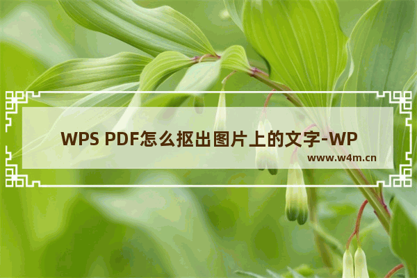 WPS PDF怎么抠出图片上的文字-WPS PDF抠出图片中的文字的方法