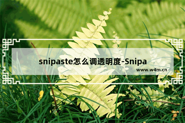 snipaste怎么调透明度-Snipaste调整图片透明度的方法