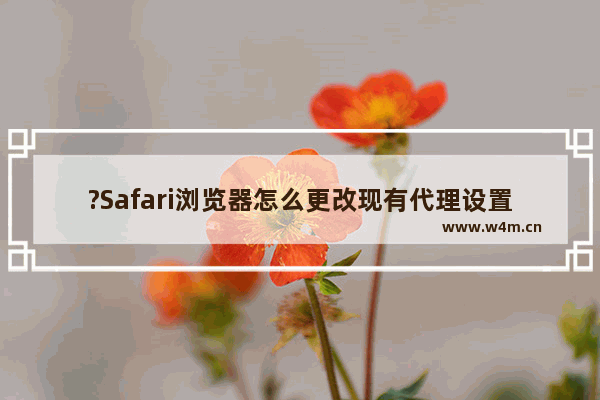 ?Safari浏览器怎么更改现有代理设置-Safari浏览器电脑版中更改代理的方法教程