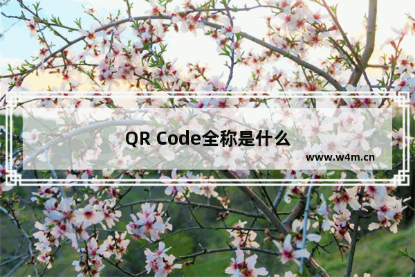 QR Code全称是什么