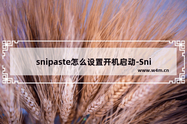 snipaste怎么设置开机启动-Snipaste设置开机自动启动的方法