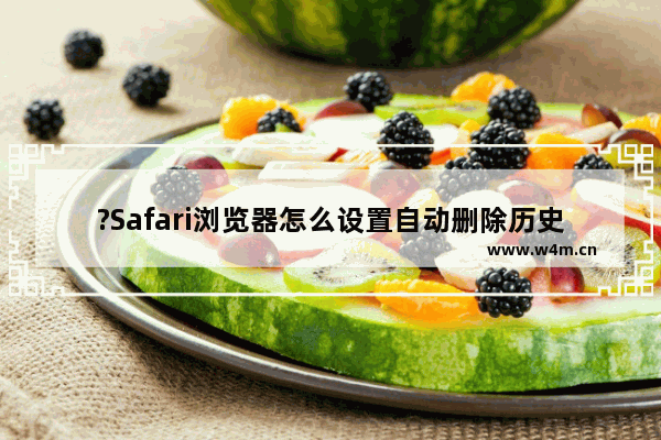 ?Safari浏览器怎么设置自动删除历史记录-Safari浏览器电脑版自动清理历史记录的方法教程