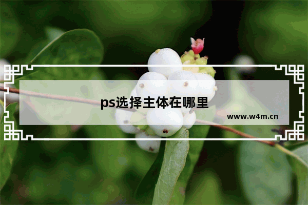 ps选择主体在哪里