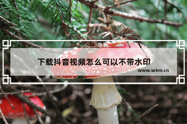 下载抖音视频怎么可以不带水印