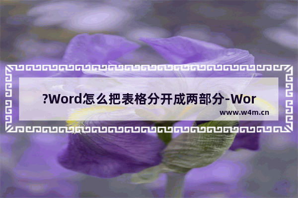 ?Word怎么把表格分开成两部分-Word文档中拆分表格的方法教程