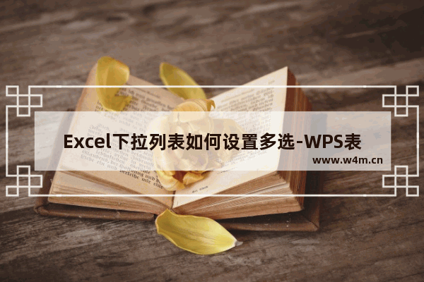 Excel下拉列表如何设置多选-WPS表格设置下拉列表多选的方法