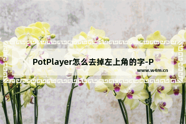 PotPlayer怎么去掉左上角的字-PotPlayer去掉左上角的字的方法