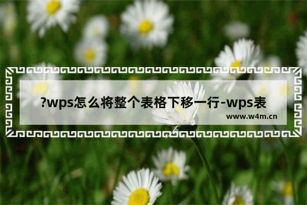 ?wps怎么将整个表格下移一行-wps表格整体下移一格的方法