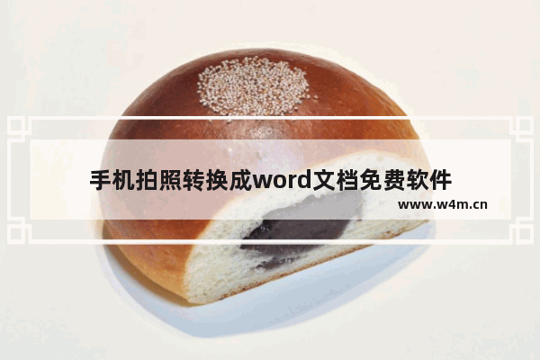 手机拍照转换成word文档免费软件