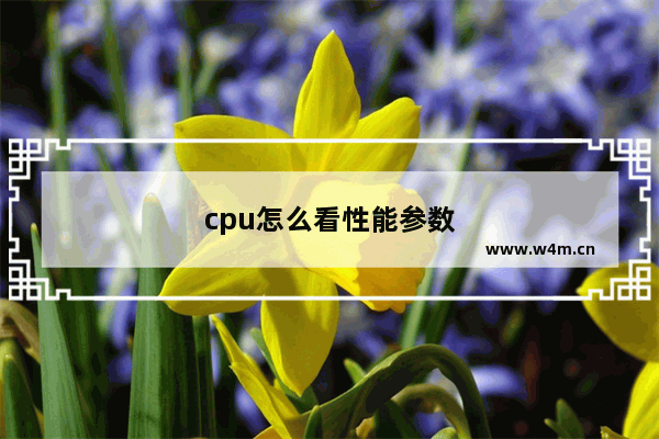 cpu怎么看性能参数