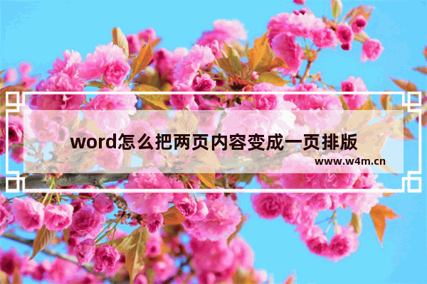 word怎么把两页内容变成一页排版