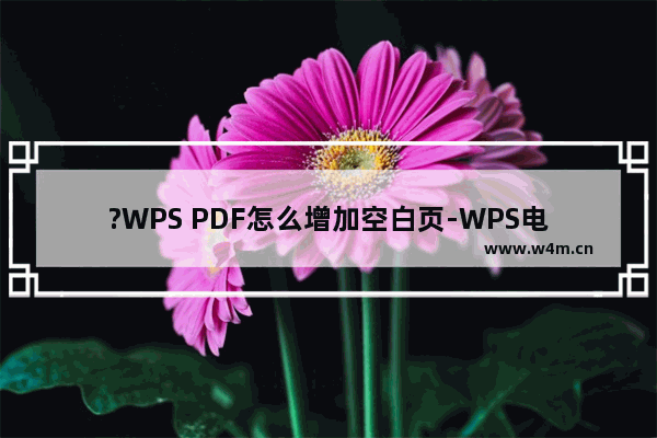 ?WPS PDF怎么增加空白页-WPS电脑版中为pdf插入新的空白页的方法教程