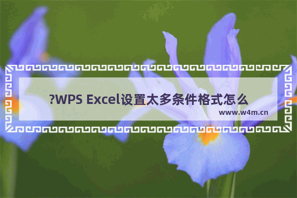 ?WPS Excel设置太多条件格式怎么删除-WPS表格电脑版中清除条件格式的方法教程