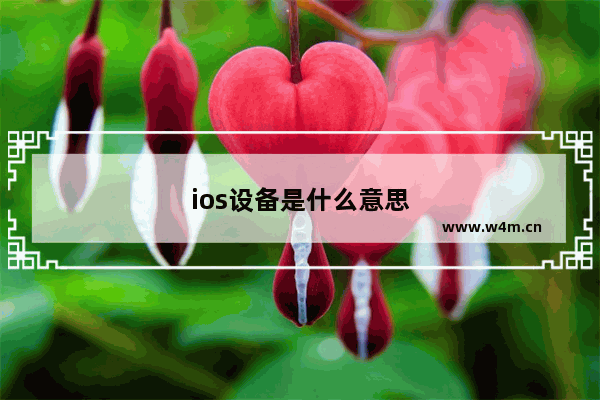 ios设备是什么意思