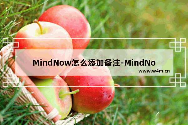 MindNow怎么添加备注-MindNow在主题上添加备注信息的方法