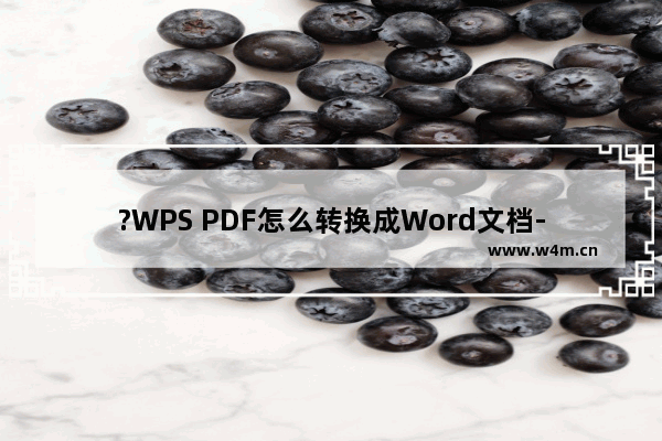 ?WPS PDF怎么转换成Word文档-WPS电脑版中将PDF转化为Word的方法教程