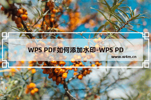 WPS PDF如何添加水印-WPS PDF文档插入文字水印的方法