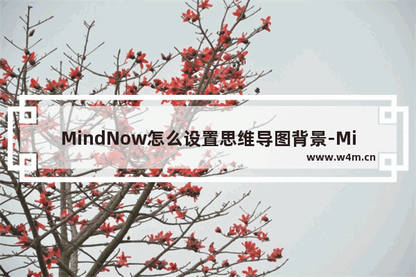 MindNow怎么设置思维导图背景-MindNow更改思维导图背景的方法