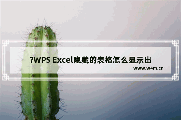 ?WPS Excel隐藏的表格怎么显示出来-WPS表格电脑版中将隐藏的表格恢复显示的方法教程