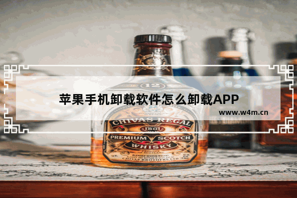 苹果手机卸载软件怎么卸载APP