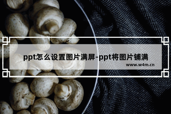 ppt怎么设置图片满屏-ppt将图片铺满整张幻灯片的方法