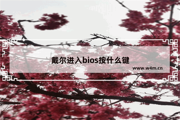 戴尔进入bios按什么键