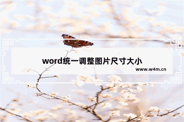 word统一调整图片尺寸大小