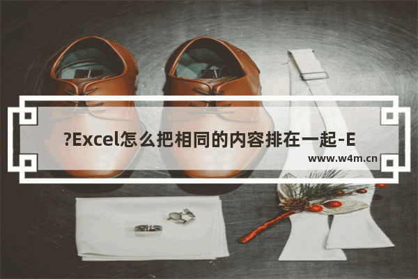 ?Excel怎么把相同的内容排在一起-Excel表格中将相同的内容排列在一起的方法教程