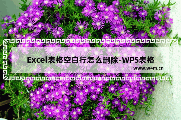 Excel表格空白行怎么删除-WPS表格快速删除空白行的两种方法