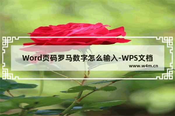 Word页码罗马数字怎么输入-WPS文档设置页码为罗马数字的方法