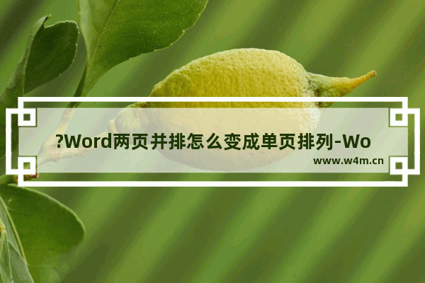 ?Word两页并排怎么变成单页排列-Word文档中打开是两页并排设置变一页的方法教程