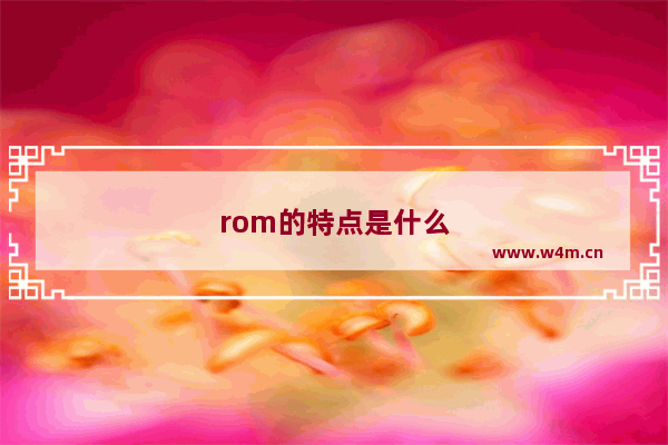 rom的特点是什么