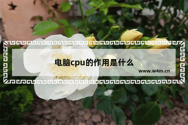 电脑cpu的作用是什么